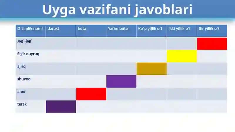 5-sinfo’quvchilariuchun “Novdada barglarning joylashishi” 3