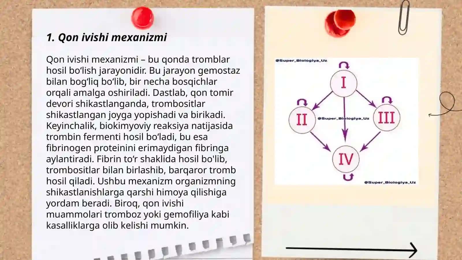 Qon guruhlari. Qon ivishi 3