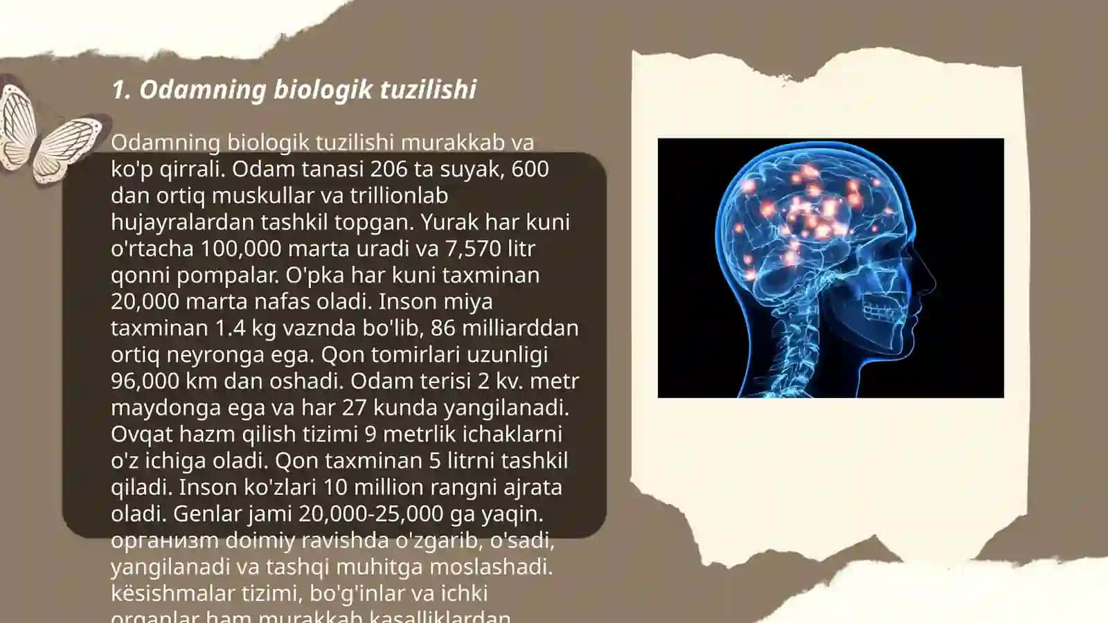 Odam miyyasi 3