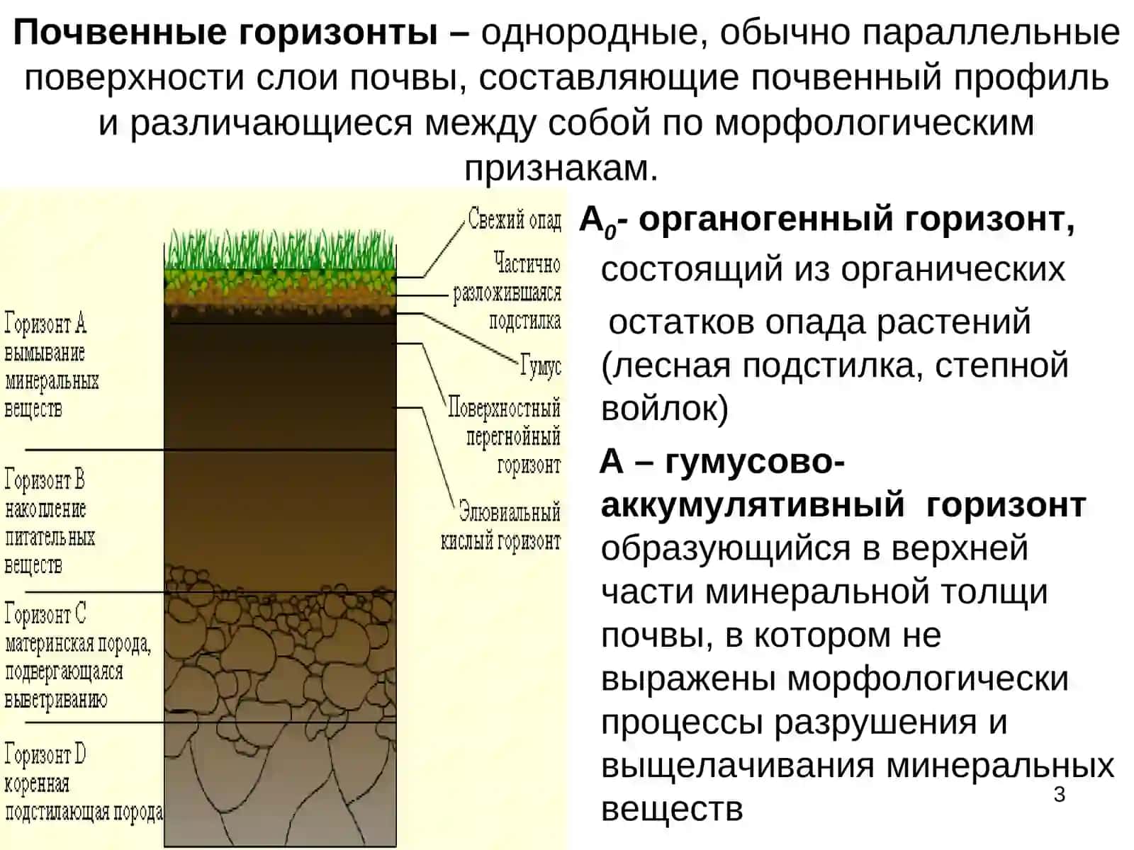 МОРФОЛОГИЯ ПОЧВ 3