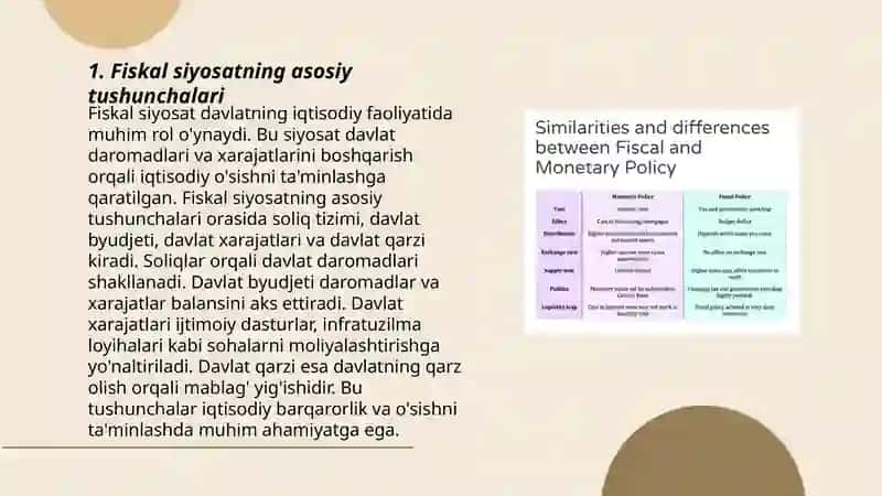 Fiskal siyosat 3