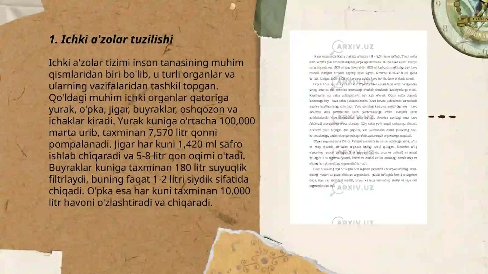 Ichki a'zolar haqida tushuncha 3
