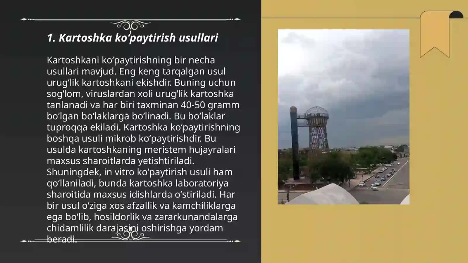 Kartoshka koʻpaytirish usullari 3