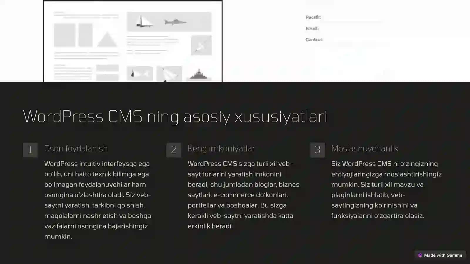 WordPress CMS: Imkoniyatlar Olamiga Sayohat 3
