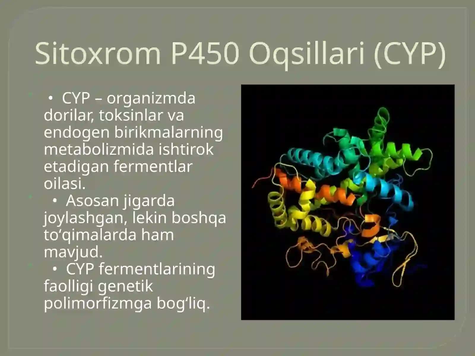 Sitoxrom P450 Oqsili Polimorfizmi va Kimyoviy Kanserogenez 3