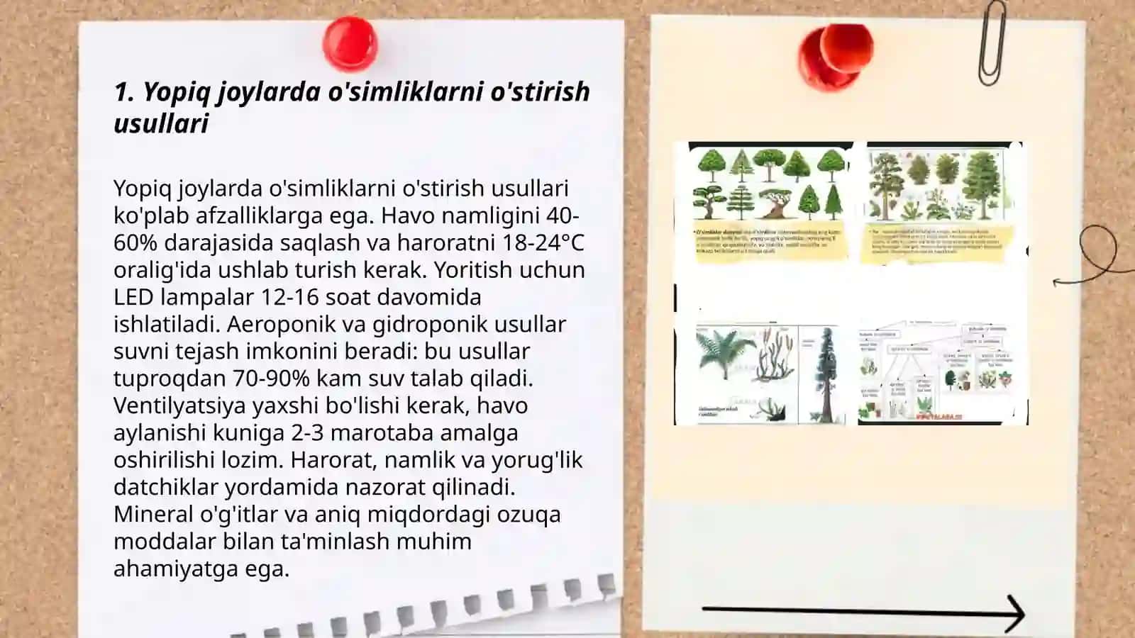 O'simliklar parvarishi 3