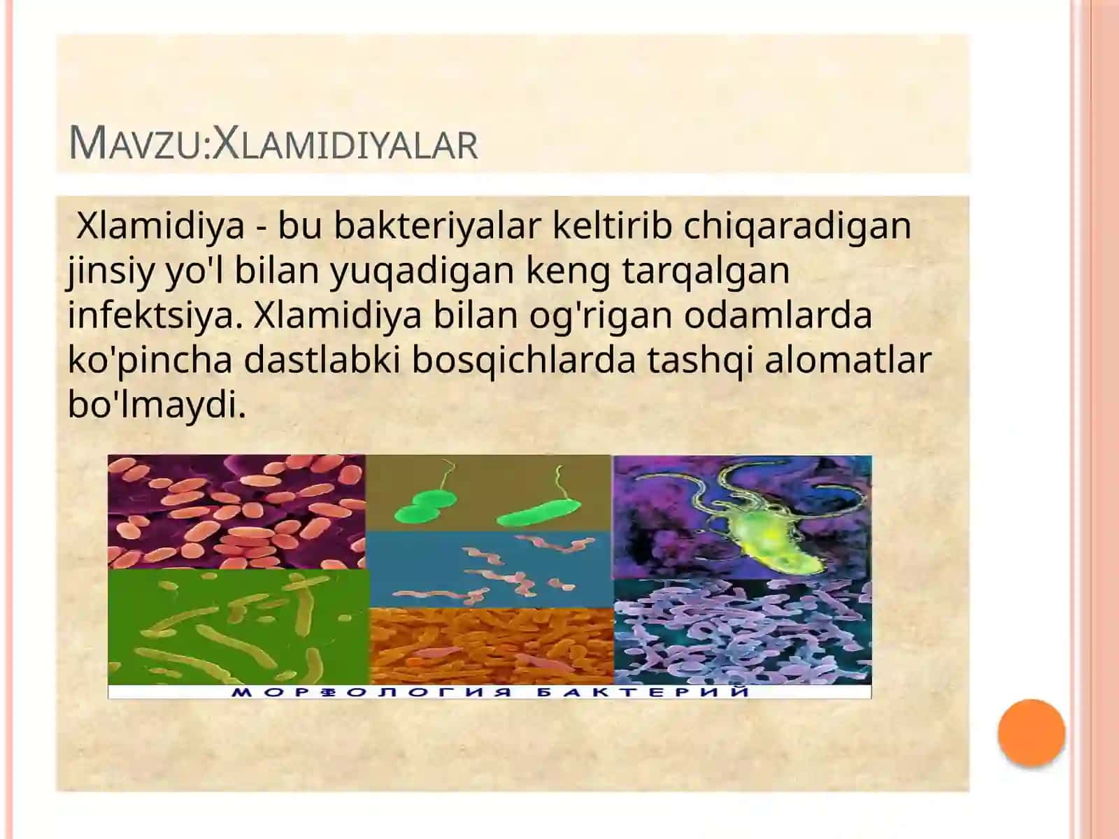 XLAMIDIYALAR TARIFI 3