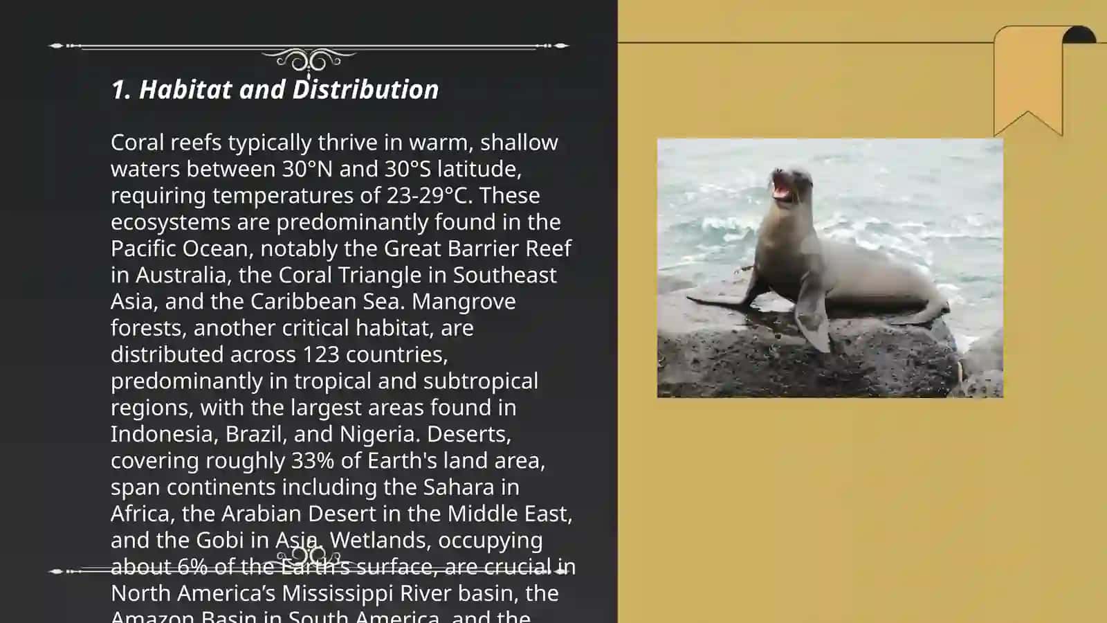 GALAPAGOS SEA LION 3