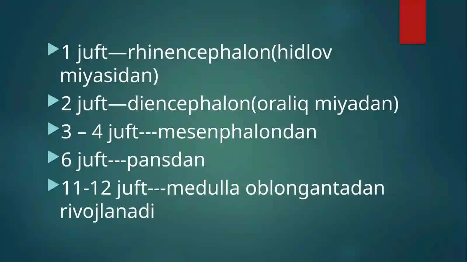 Nervi cranialesAnatomical 3