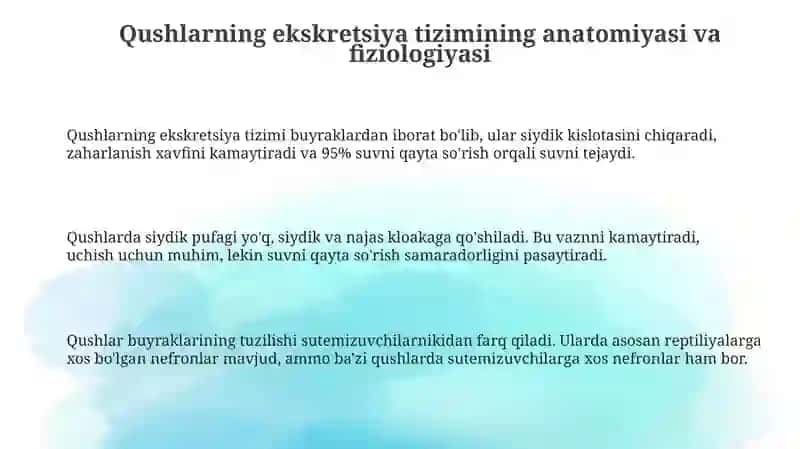 Qushlarning ekskretsiya tizimi 3