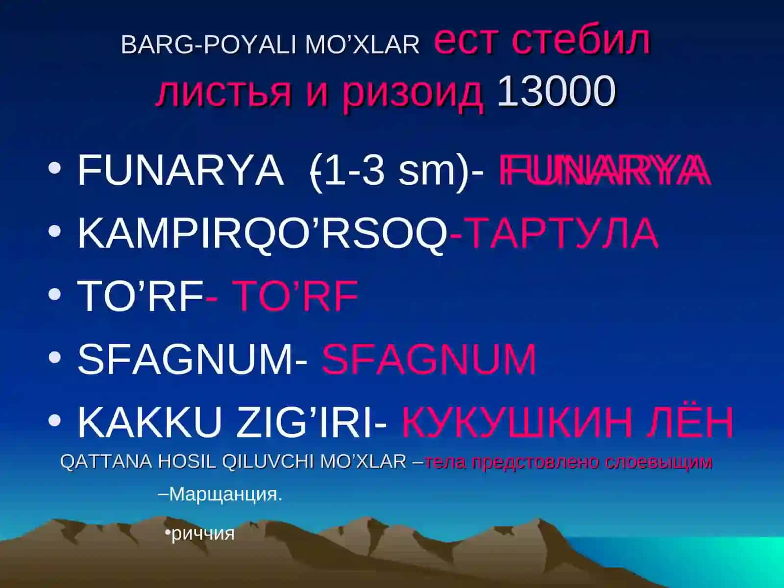 Ўсимликлар Дунёси 2 га бўлинади 3