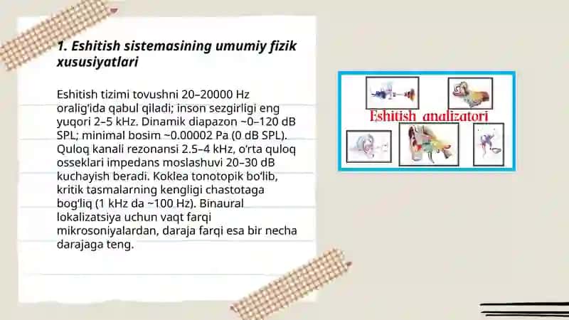 Eshitish sistemasi fizikasi 3