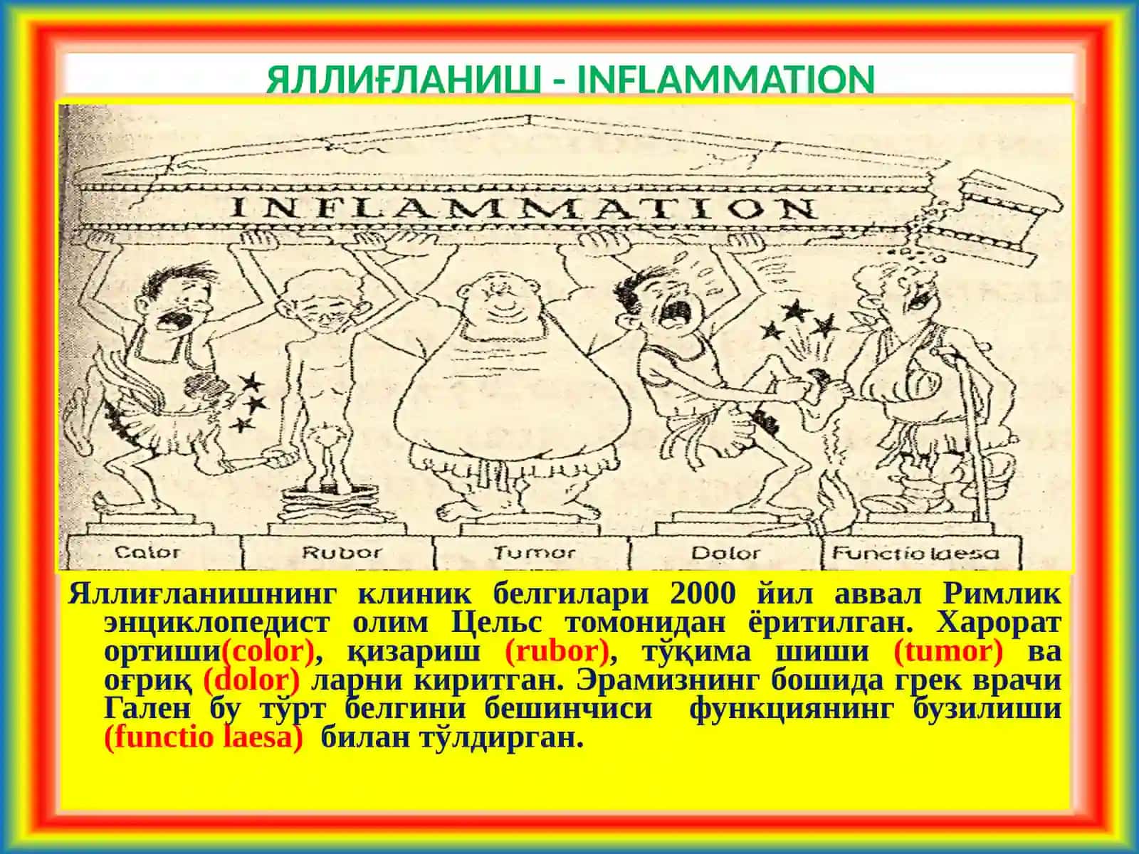 Стоматология факулътети 3