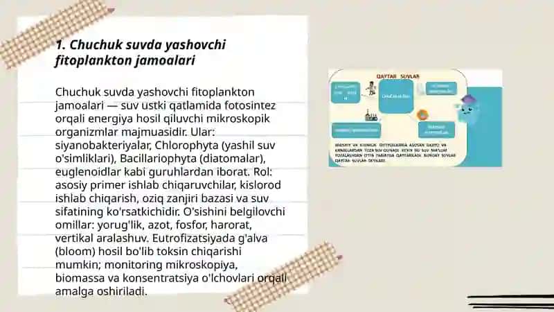 Chuchuk suvdagi organizmlar jamoalari 3