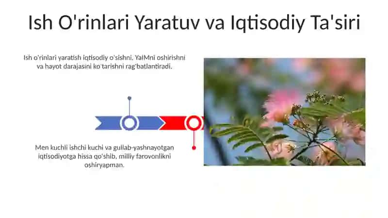 Meniń iqtisodiyotga ta'siri 3