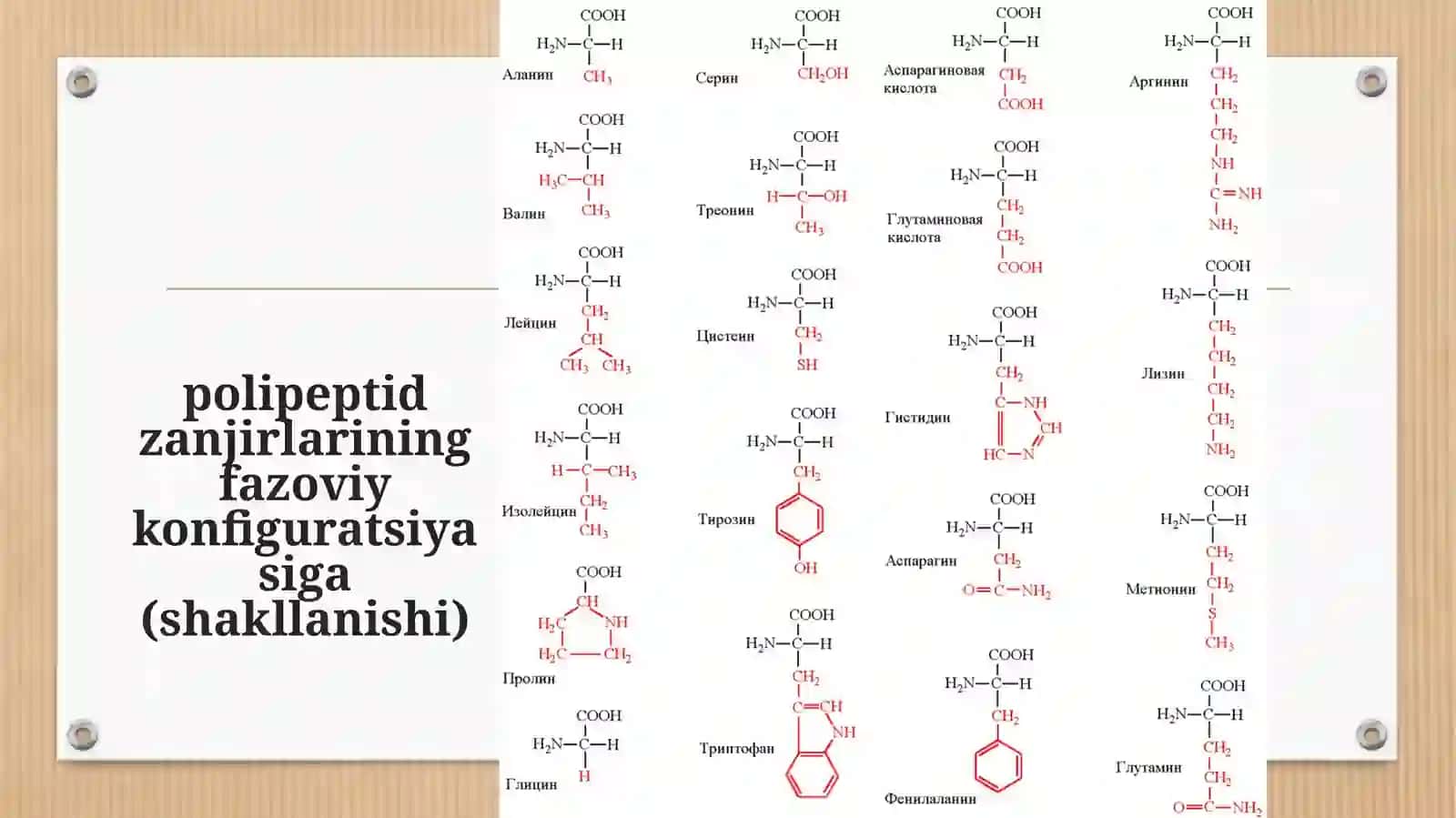 Oqsillarning strukturasi, klassifikatsiyasi 3