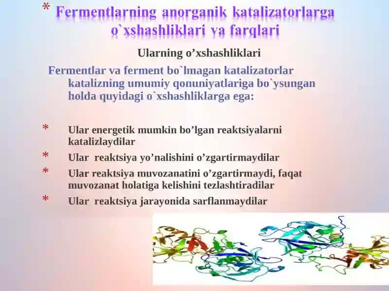 Fermentlarning struktura-funktsional tuzilishi 3