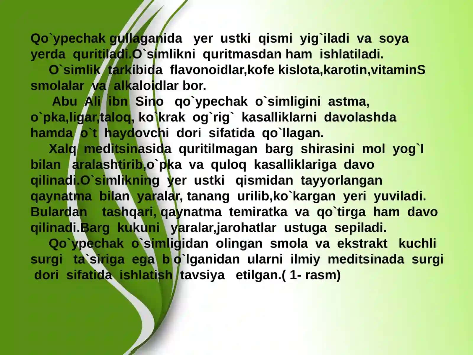 Dorivor o`simliklar 3
