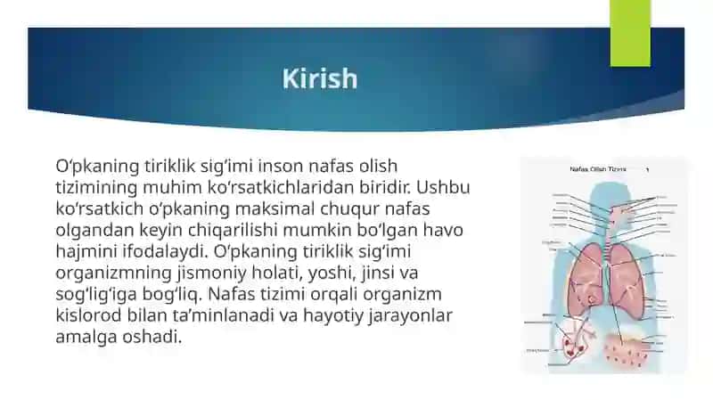 O‘pkaning tiriklik sig‘imi 3