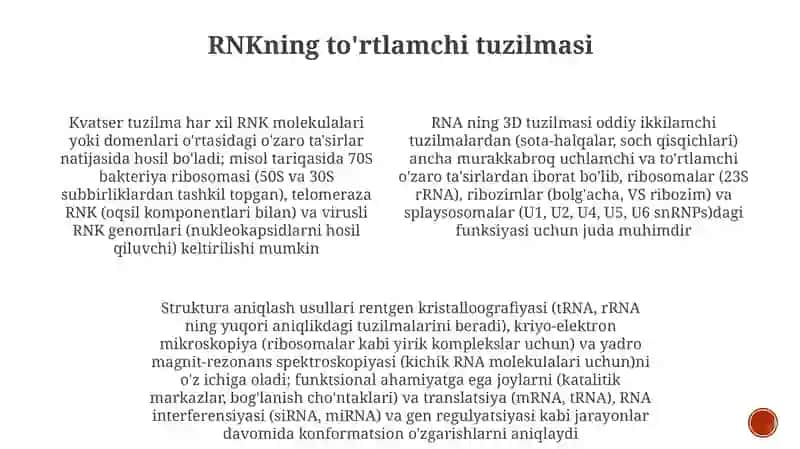 RNKning makromolekulyar strukturasi 3