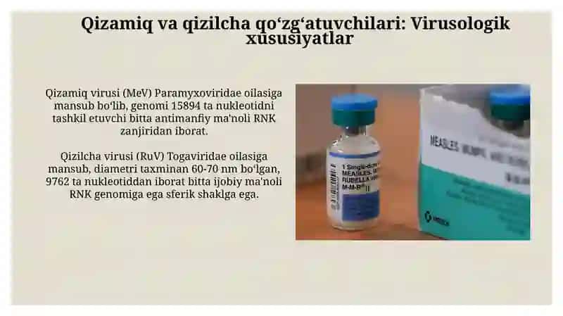 Qizamiq va qizilcha 3