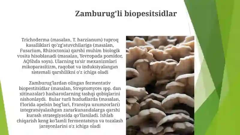 Zamburug'li biopesitsidlar 3