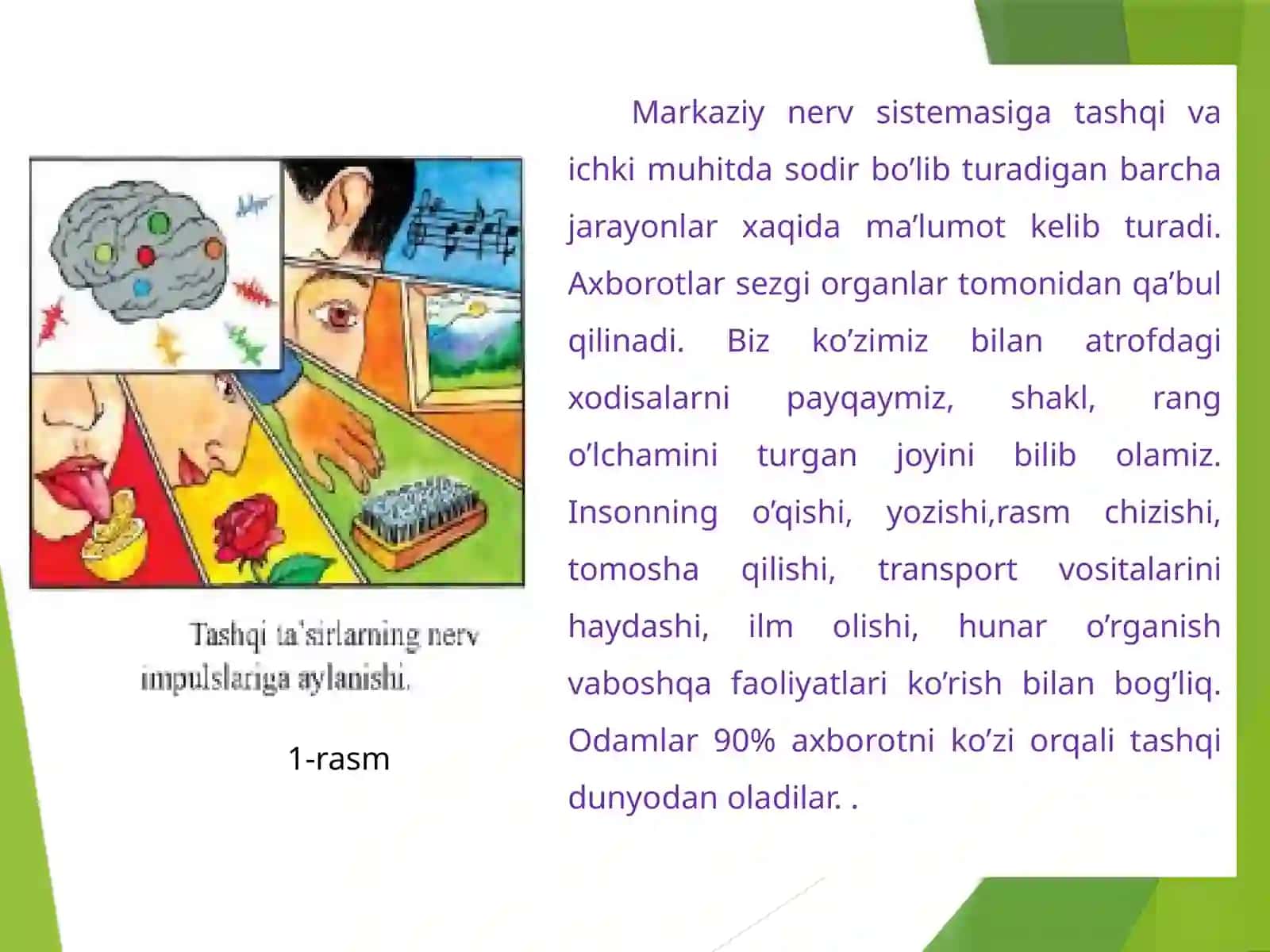 Ko’rish   analizatorlari DARS ISHLANMASI 3