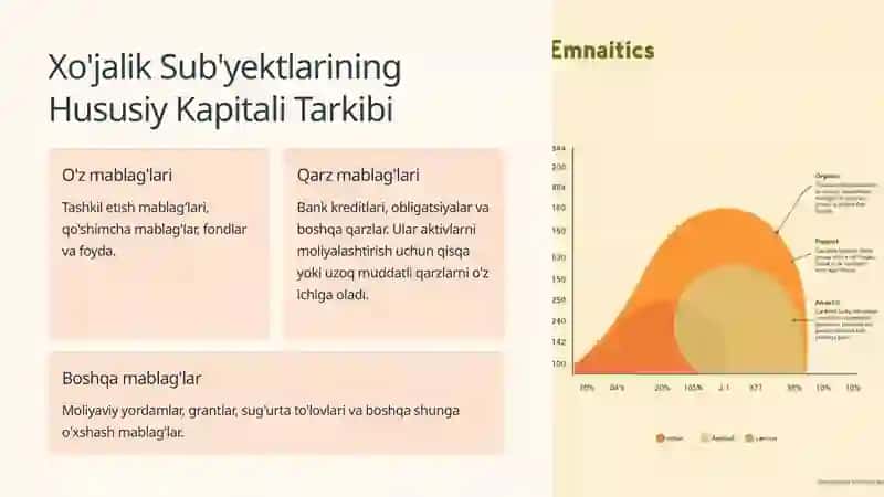 Hususiy Kapital Tahlili 3