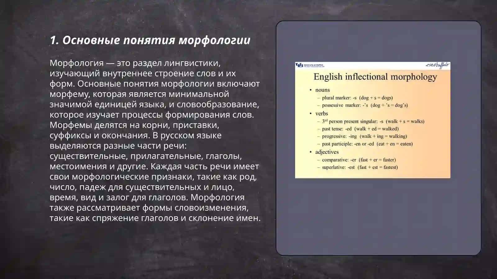 Морфология 3