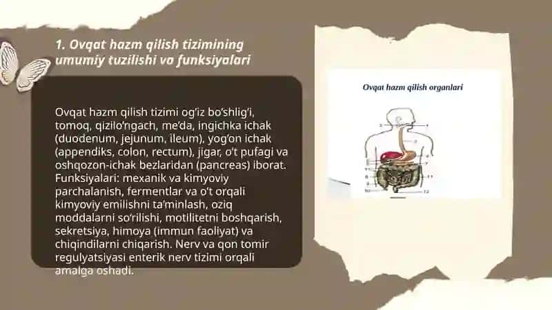 Ovqat hazm qilish tizimi 3