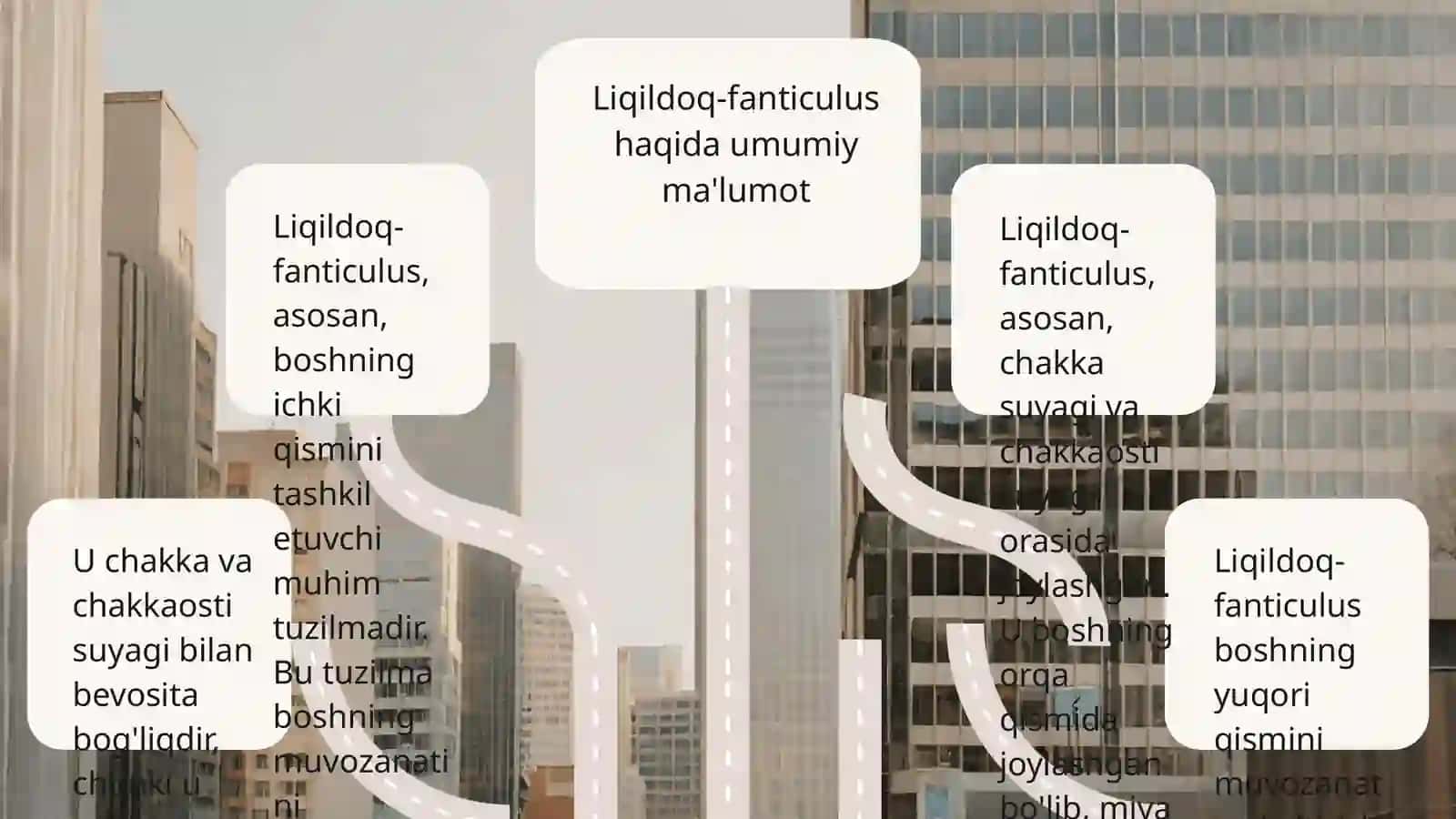 Liqildoq-fanticulus 3