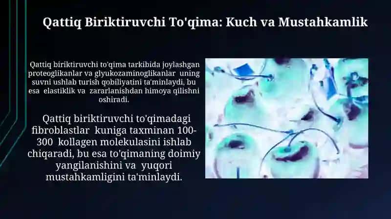 Qattiq Biriktiruvchi To'qima 3