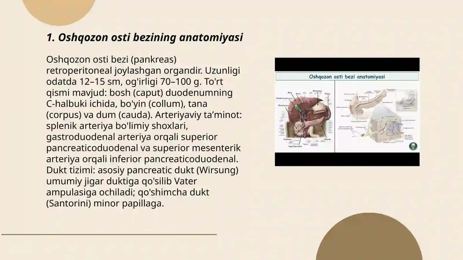 Oshqozon osti bezining anatomiyasi 3