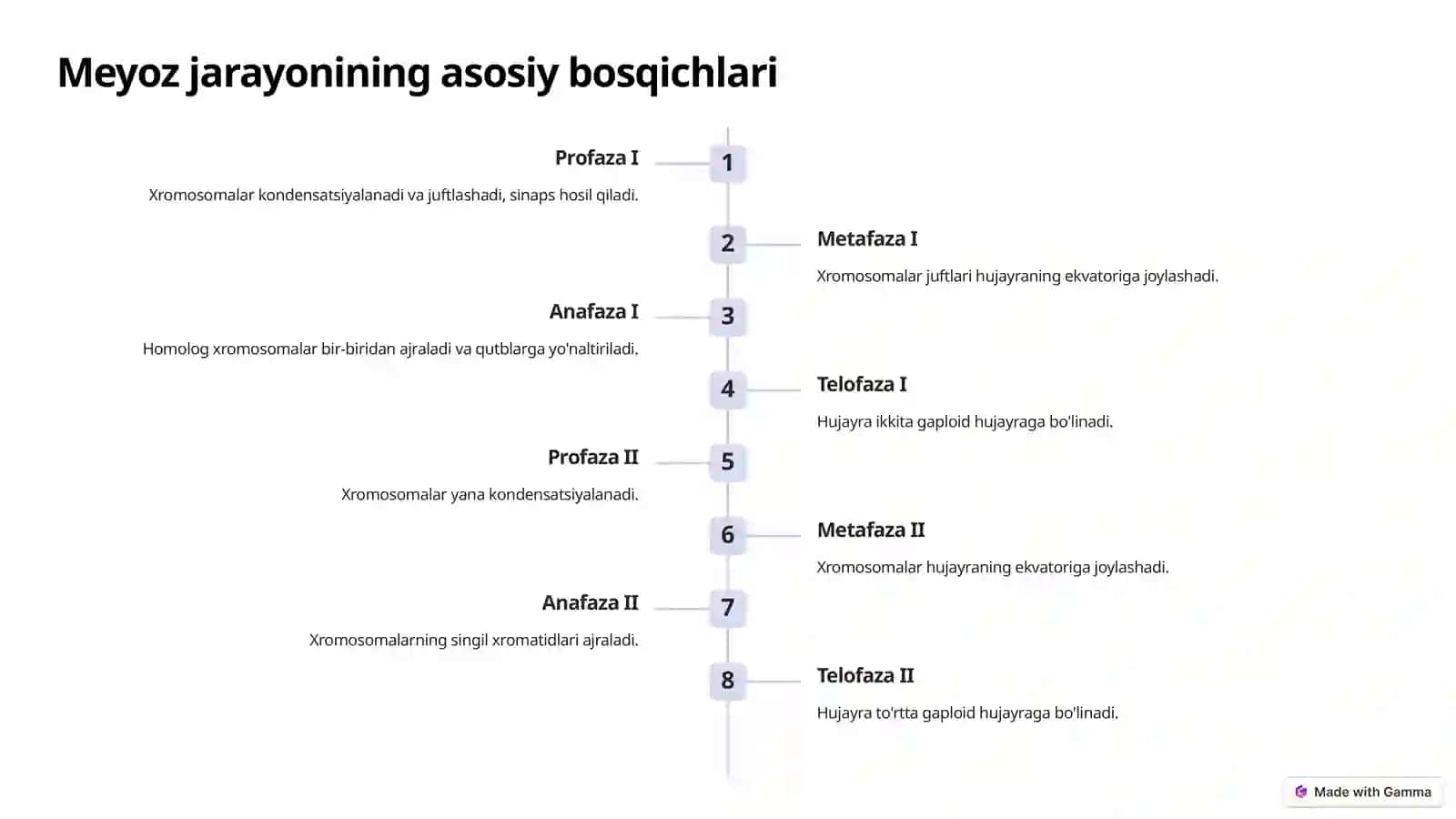 Hujayraning Meyotik Sikli 3