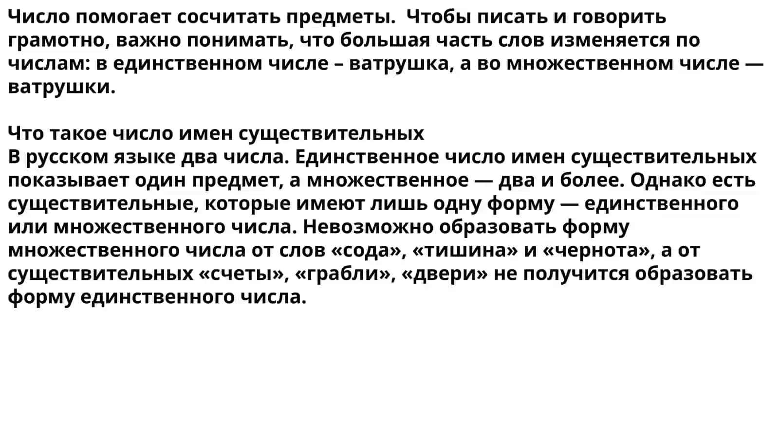 Число имен существительных 3
