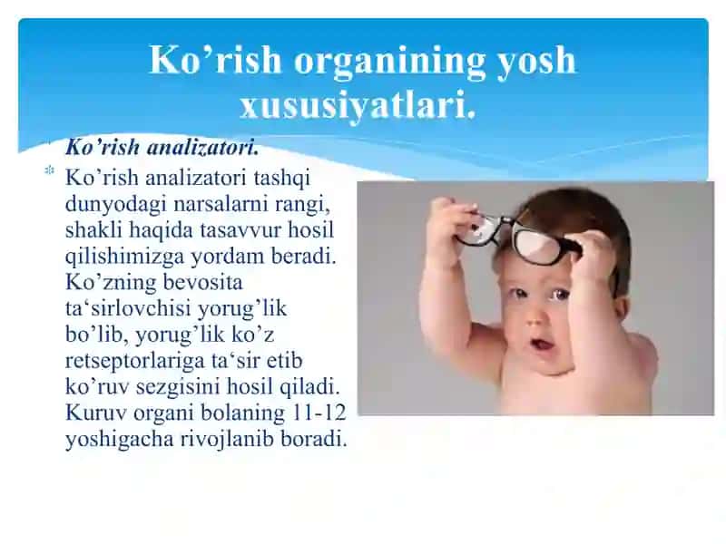 Ko’rish analizatori 3