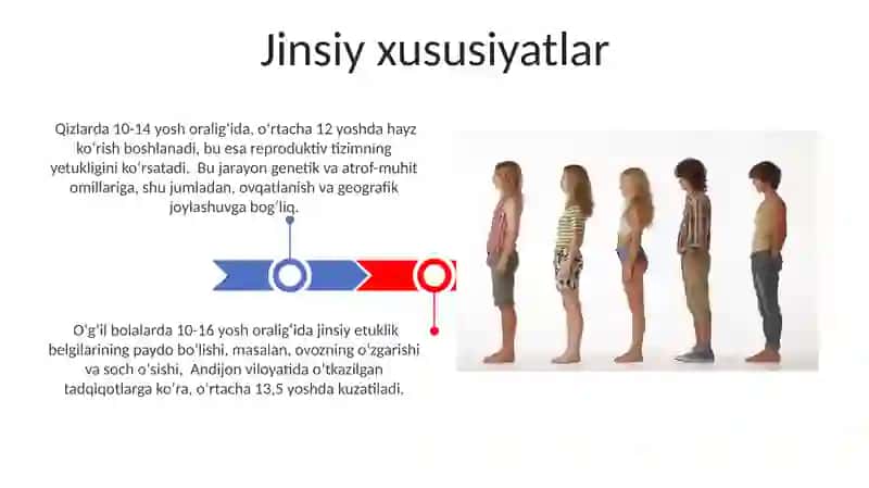 Bolalar gavda tuzilishining xususiyatlari 3