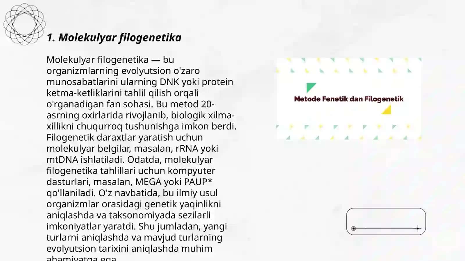 Zamonaviy filogenetik sistema 3