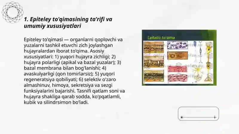 Epiteley to'qimasi 3