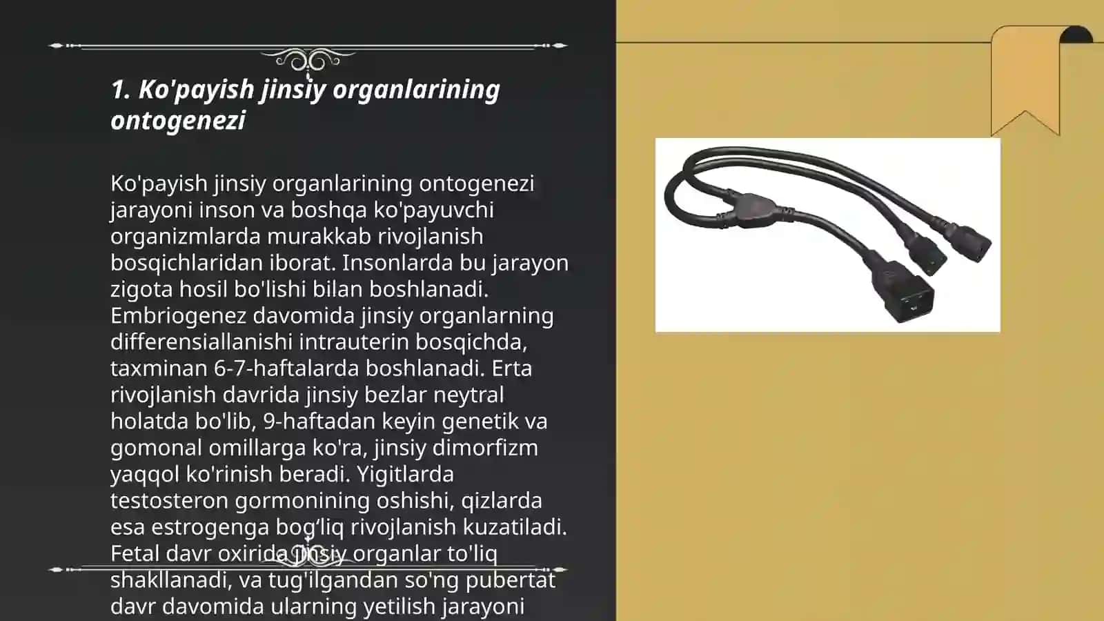 hayvonlar anatomiyasi faniga taqdimot 3