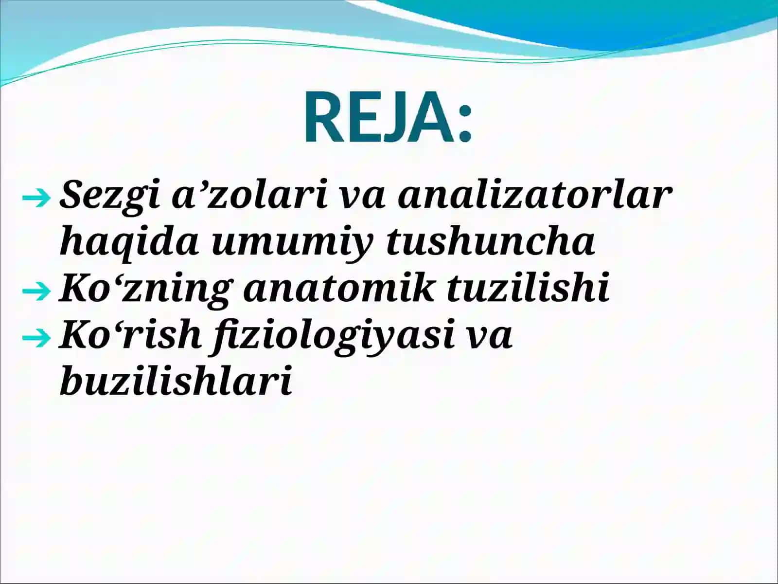 Sezgi a’zolari. Ko‘z 3