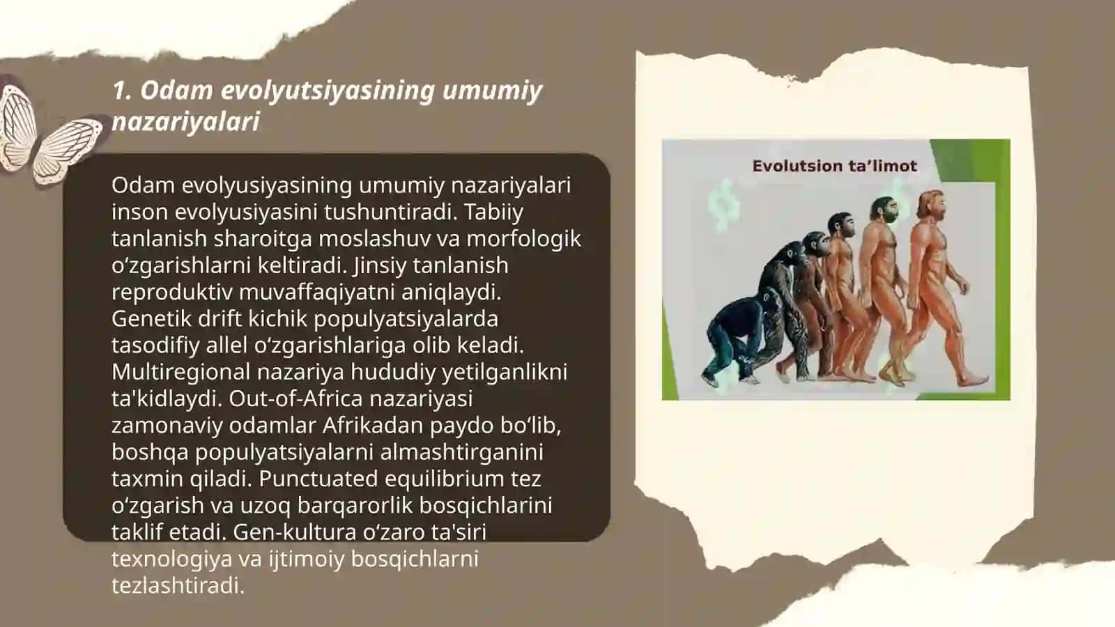 Odamlar evolyutsiyasi, dastlabki odamlar 3