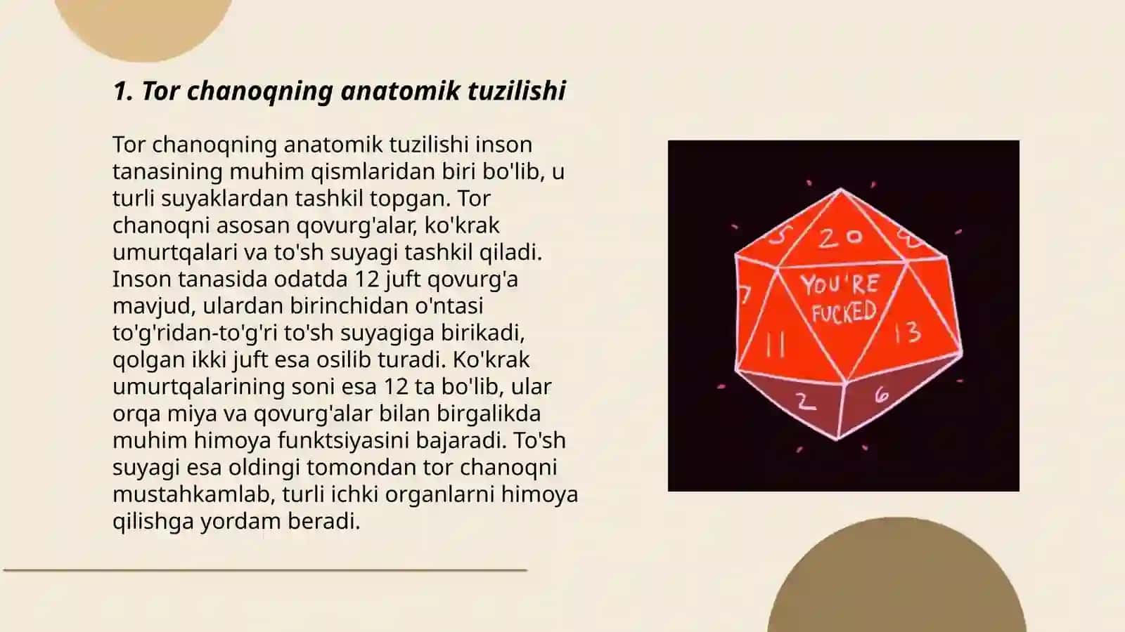 Tor chanoqning anatomik tuzilishi 3