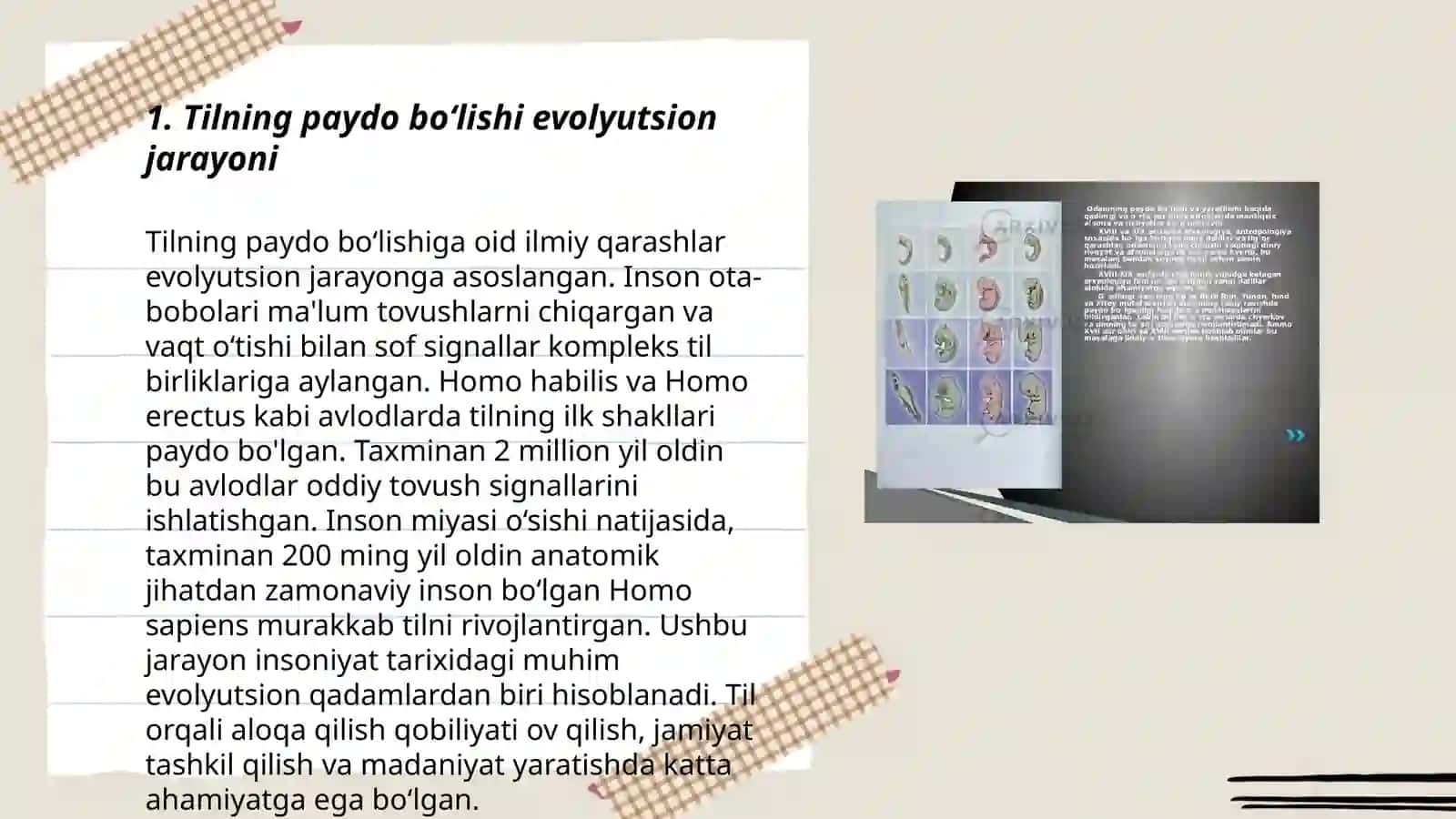 Tilning paydo bo'lishi toʻgʻrisidagi nazariyalar 3