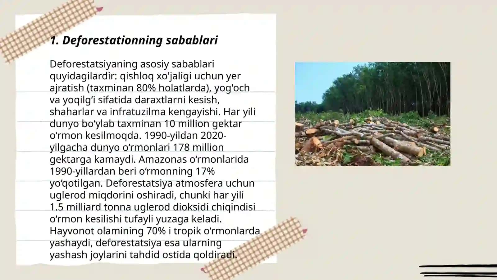 Deforestationning sabablari 3