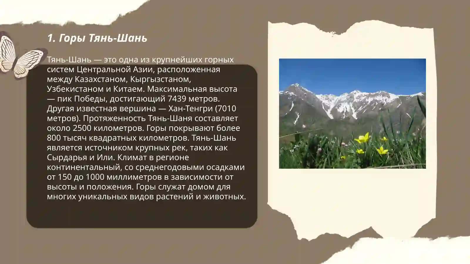 Природа в Узбекистана 3