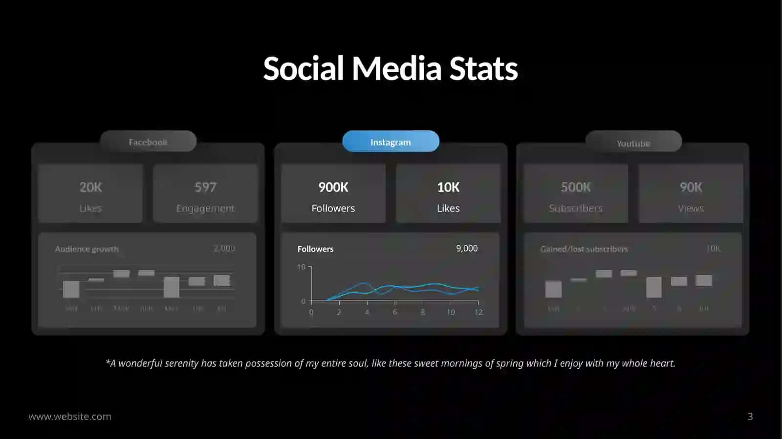 Social Media Stats 3