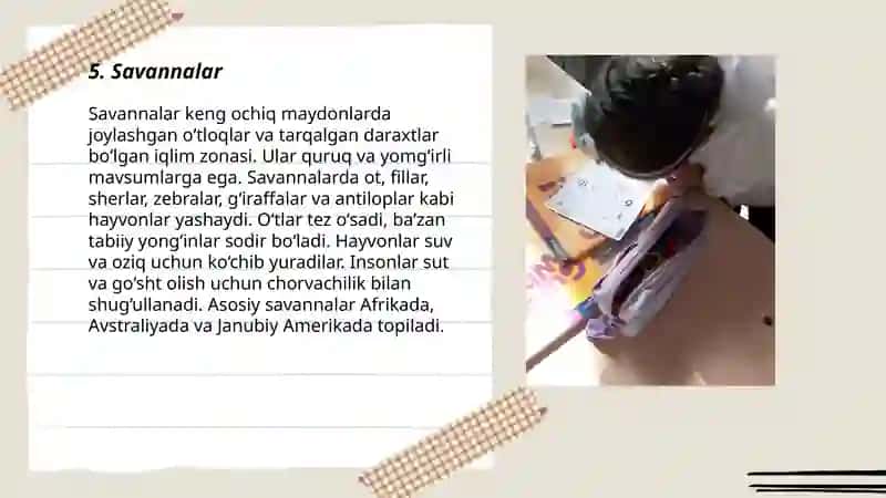 Savannalar 3
