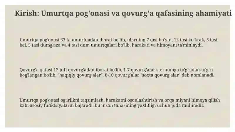 Umurtqa pog'onasi va qovurg'a qafasining anatomiyasi 3