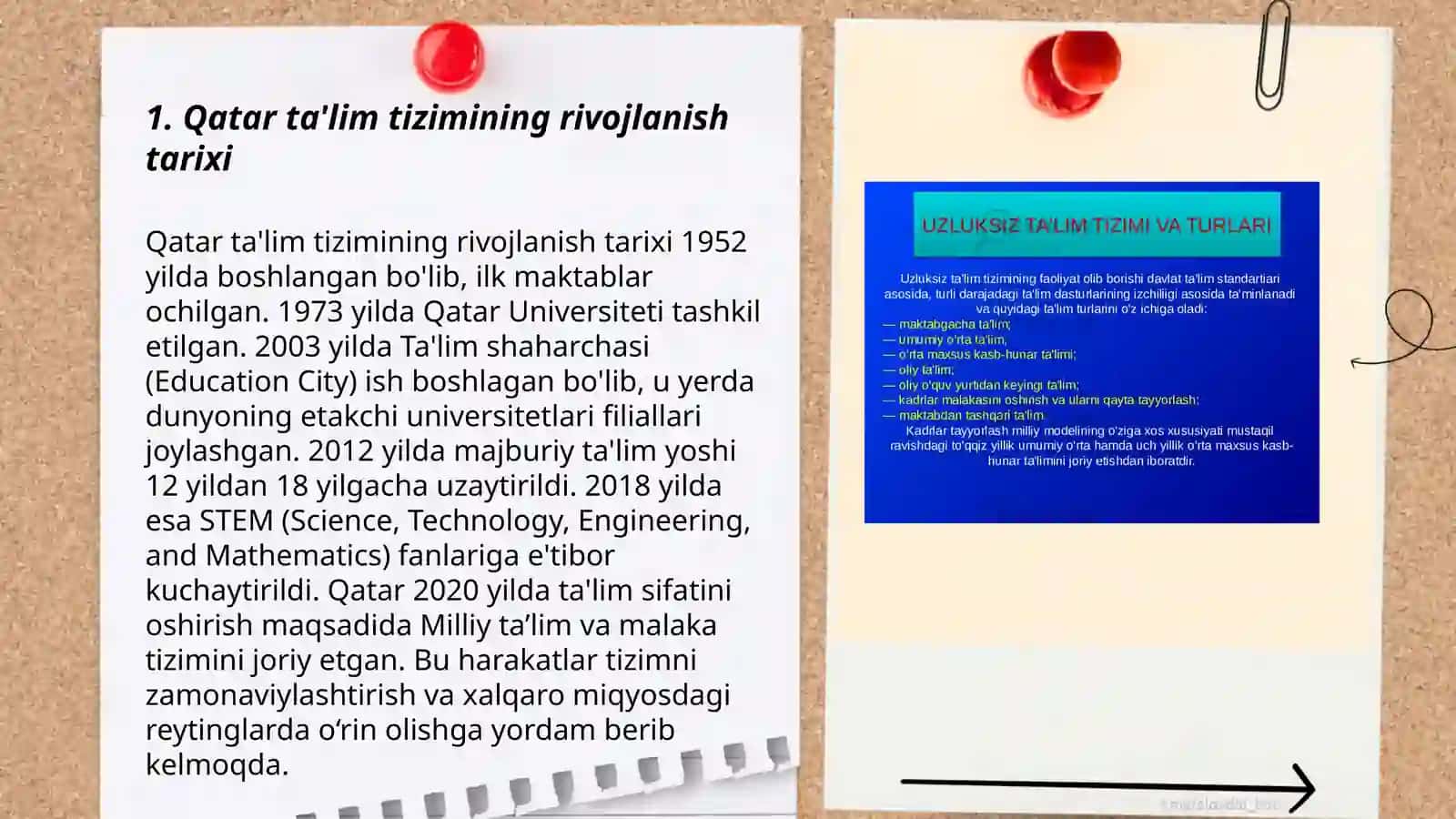 Qatar ta'lim tizimi 3